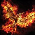 Cover Art for 9780545796682, Mockingjay: Movie Tie-In Edition by Suzanne Collins