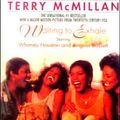 Cover Art for 9780613014335, Waiting to Exhale by Terry McMillan