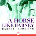 Cover Art for 9781497662582, A Horse like Barney by Jessie Haas