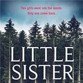 Cover Art for 9780241470961, Little Sister by Gytha Lodge