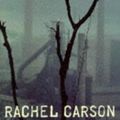 Cover Art for 9780140138917, Silent Spring by Rachel Carson