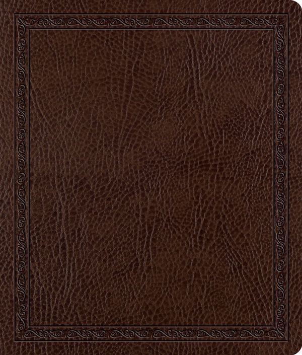 Cover Art for 9781433502347, ESV Journaling Bible by Crossway Bibles