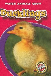 Cover Art for 9781600141676, Ducklings by Colleen A Sexton