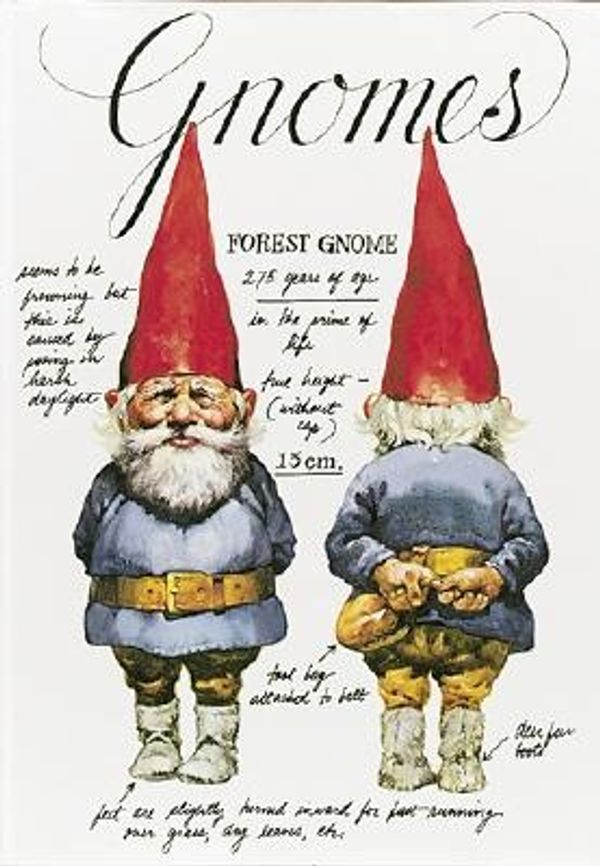 Cover Art for 9780810954984, Gnomes by Wil Huygen