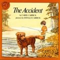 Cover Art for 9780899190419, The Accident by Carol Carrick