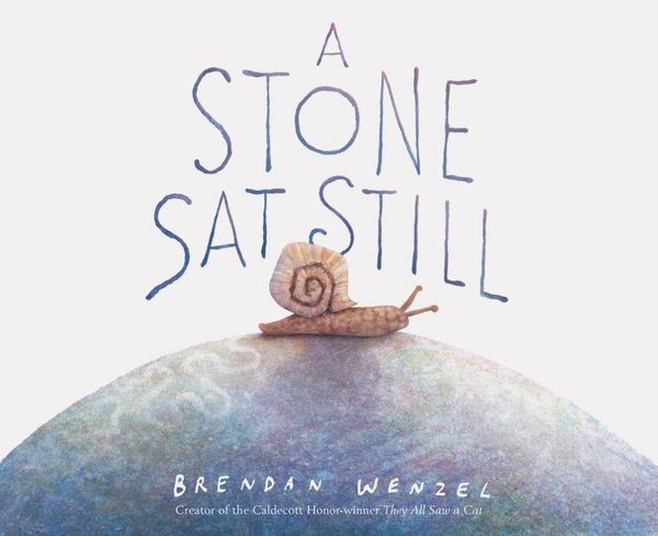 Cover Art for 9781452179131, A Stone Sat Still by Brendan Wenzel