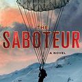 Cover Art for 9781250079510, The Saboteur by Andrew Gross