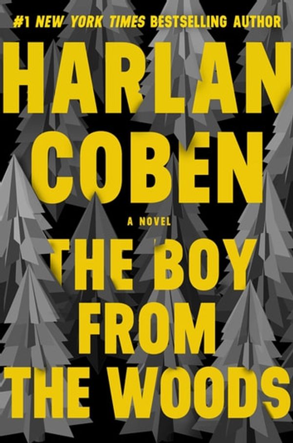 Cover Art for 9781538748169, The Boy from the Woods by Harlan Coben