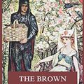 Cover Art for 9783849675554, The Brown Fairy Book by Andrew Lang