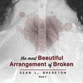 Cover Art for 9798624726956, The Most Beautiful Arrangement of Broken by Sean L. Brereton