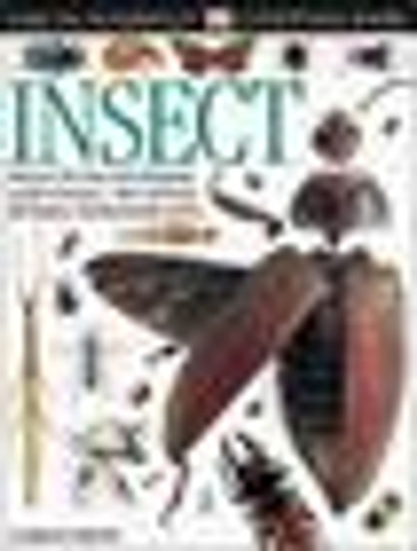 Cover Art for 0635517058161, Insect by Laurence Mound