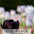 Cover Art for 9781539564645, The Black Tulip by Alexandre Dumas
