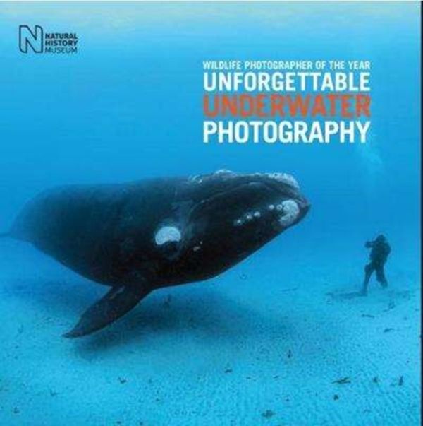 Cover Art for 9780565094560, Wildlife Photographer of the YearUnforgettable Underwater Photography by Rosamund Kidman Cox