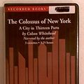 Cover Art for 9781402563379, The Colossus of New York by Colson Whitehead