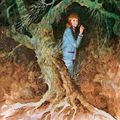 Cover Art for 9781101077344, Nancy Drew 33: The Witch Tree Symbol by Carolyn Keene