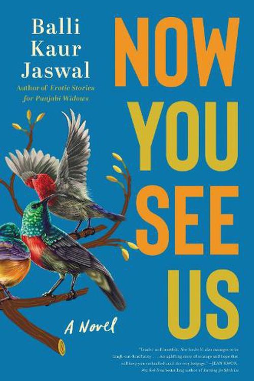 Cover Art for 9780063161603, Now You See Us by Jaswal, Balli Kaur