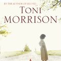 Cover Art for 9780099502548, A Mercy by Toni Morrison