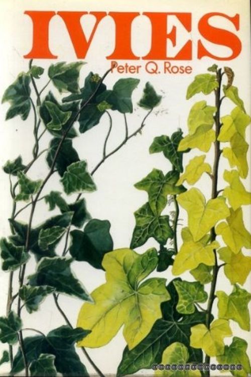 Cover Art for 9780713709698, Ivies by Peter Q. Rose