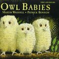 Cover Art for 9781854303479, Owl Babies by Martin Waddell