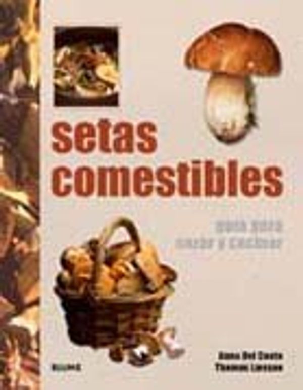 Cover Art for 9788480768412, Setas comestibles : guía para cazar y cocinar by Del Conte, Anna