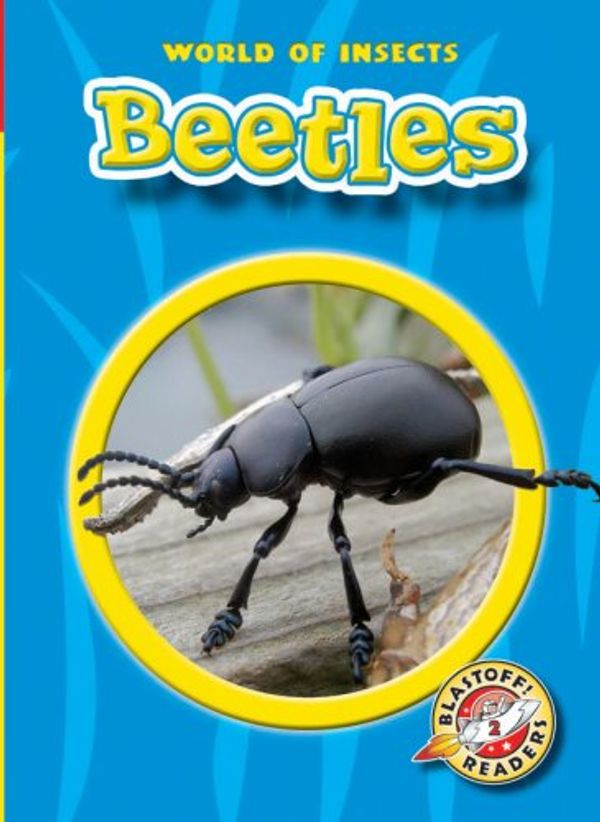 Cover Art for 9781600140501, Beetles by Colleen A Sexton