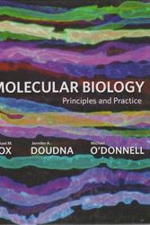 Cover Art for B00DS8XNZU, Molecular Biology: Principles and Practice 1st (first) Edition by Cox, Michael M., Doudna, Jennifer, O'Donnell, Michael [2011] by 