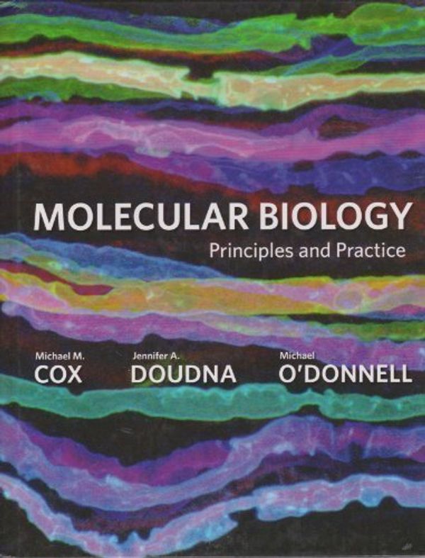 Cover Art for B00DS8XNZU, Molecular Biology: Principles and Practice 1st (first) Edition by Cox, Michael M., Doudna, Jennifer, O'Donnell, Michael [2011] by Unknown