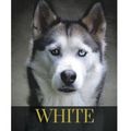 Cover Art for 9781981691487, White Fang by Jack London: White Fang by Jack London by Jack London