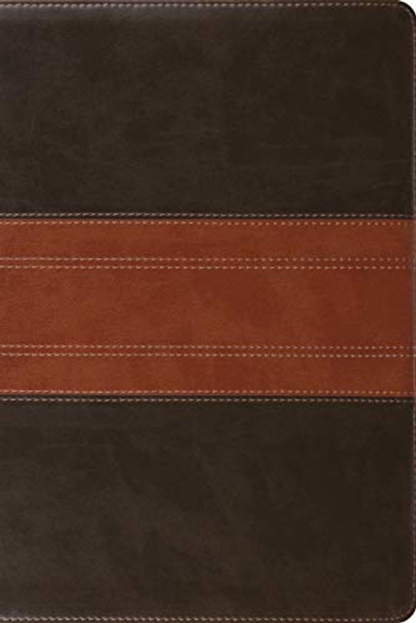 Cover Art for 9781433568824, ESV Study Bible, Personal Size (Trutone, Forest/Tan, Trail Design) by 