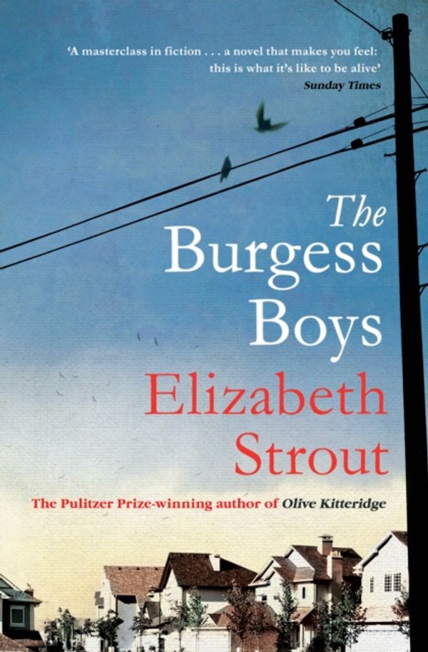 Cover Art for 9781471127380, The Burgess Boys by Elizabeth Strout
