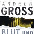 Cover Art for 9783596174300, Blut und LÃ¼ge by Andrew Gross