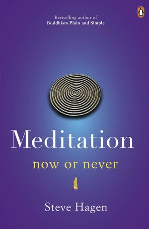 Cover Art for 9780718193041, Meditation Now or Never by Steve Hagen