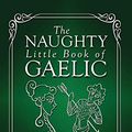 Cover Art for 8601405300713, The Naughty Little Book of Gaelic by Michael Newton