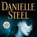 Cover Art for 9780593168165, The Dark Side by Danielle Steel