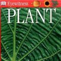 Cover Art for 9783125803329, Plant by David Burnie