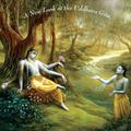 Cover Art for 9780313383267, Krishna's Other Song by Steven Rosen