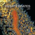 Cover Art for 9781605353753, Invertebrates by Richard C. Brusca