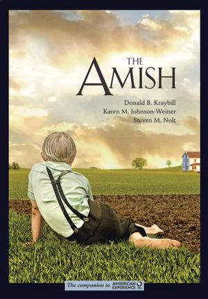 Cover Art for 9781421425665, The Amish by Donald B. Kraybill