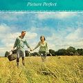 Cover Art for 9781459208735, Picture Perfect by Sherry Lewis