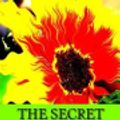 Cover Art for 9781518609497, The Secret Garden by Frances Hodgson Burnett