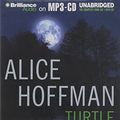 Cover Art for 9781441812476, Turtle Moon by Alice Hoffman