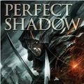 Cover Art for 9781596064157, Perfect Shadow (Night Angel) by Brent Weeks