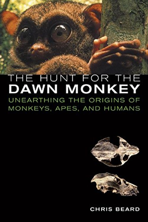 Cover Art for 9780520233690, The Hunt for the Dawn Monkey: Unearthing the Origins of Monkeys, Apes, and Humans by Christopher Beard