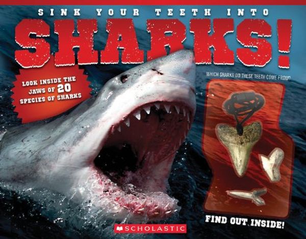 Cover Art for 9780545603324, Sink Your Teeth Into...Sharks! by L. J. Tracosas