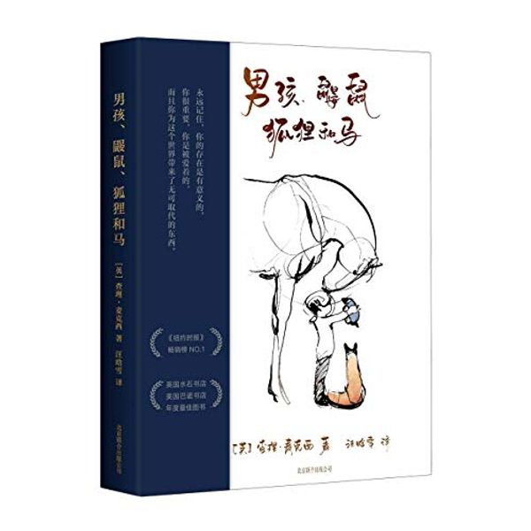 Cover Art for 9787559645708, The Boy, the Mole, the Fox and the Horse (Chinese Edition) by Charlie Mackesy