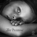 Cover Art for 9781415210581, The Promise by Damon Galgut