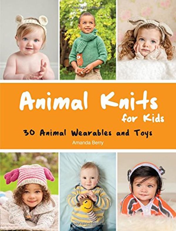 Cover Art for 9781845436025, Animal Knits for Kids by Amanda Berry