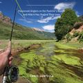 Cover Art for 9781613124604, Why I Fly Fish by Chris Santella