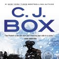 Cover Art for 9780593676530, Storm Watch by Box, C J