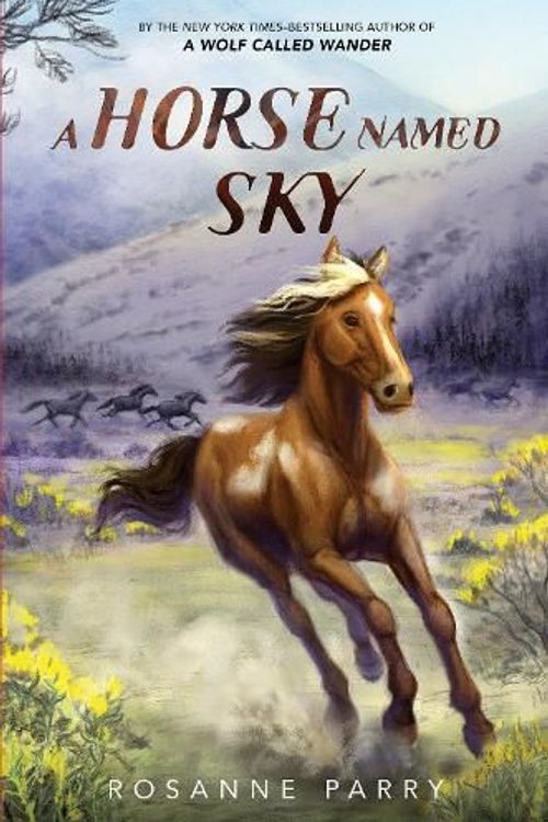 Cover Art for 9780062995957, A Horse Named Sky by Rosanne Parry